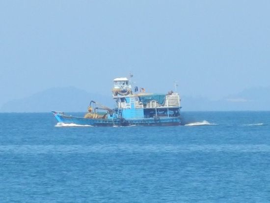 ...Fischer, die nach Fischen suchen.....