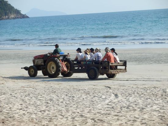 ....oder chinesische Touristen auf Sightseeing......