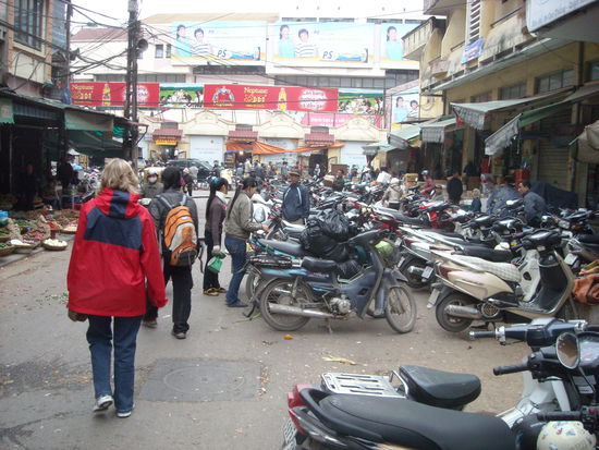 Babsi auf dem Weg durch das Mofachaos....