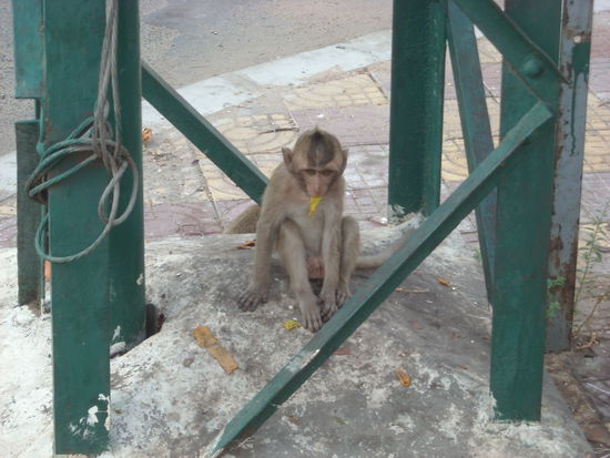 ...und der lässt sichs einfach schmecken...