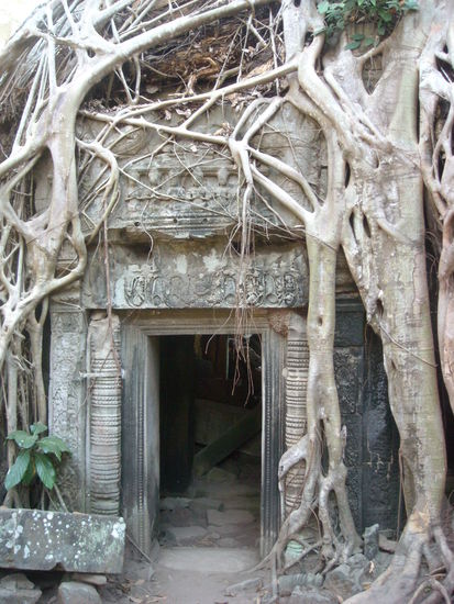...und hat Ta Phrom im Griff....