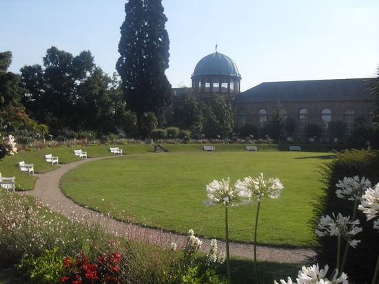 Blumengarten im Park