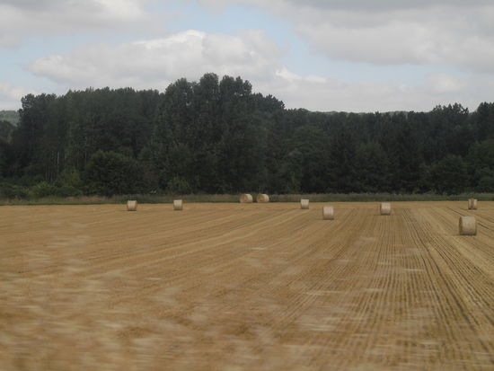 aus dem Auto heraus entstanden, da Ricky heute den ganzen Tag gefahren ist, musste ich mich ja beschäftigen 