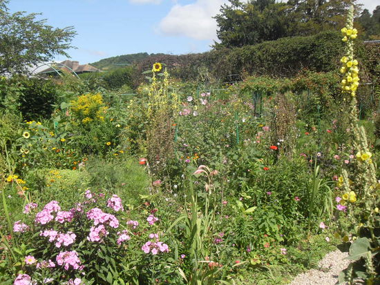 Tausende Sorten von wunderschönen Blumen! Und das duftet!