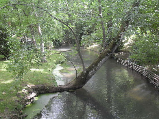 Nun der Wassergarten