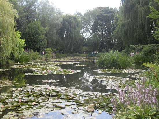 Der zum Träumen anregende Seerosenteich