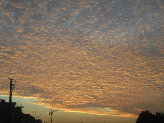 Sieht das nicht schön aus!?