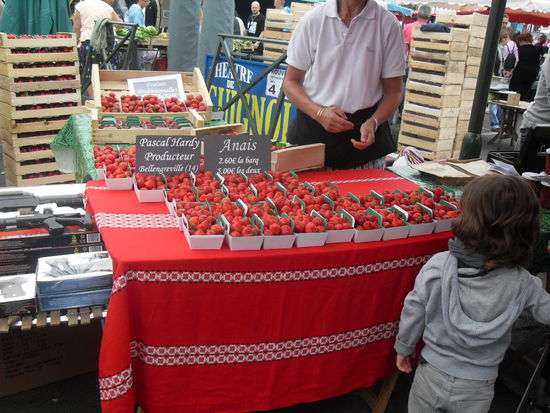 Frische Erdbeeren! Die sahen total gut aus!