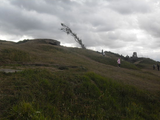 Der halbtote Baum passt sehr gut an diesen Ort ...