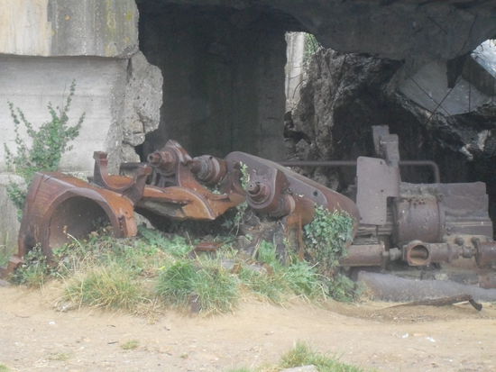 Diesen hier hats ziemlich erwischt.