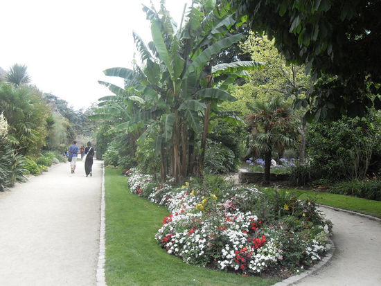 Der Garten, durch den wir schlenderten (auffällig in Frankreich ist, dass überall Palmen angepflanzt werden, für diese scheint man ein ganz besonderes Faible zu haben  )
