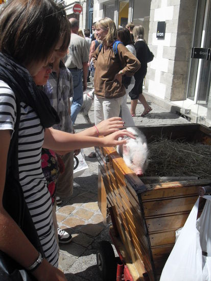 Doro und ihr neues Haustier 