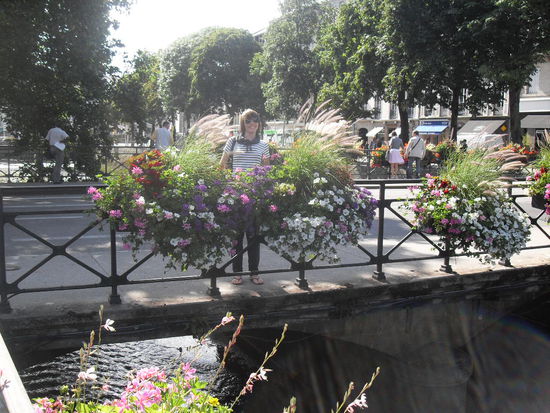 Doro verschwindet zwischen den Blumen .
