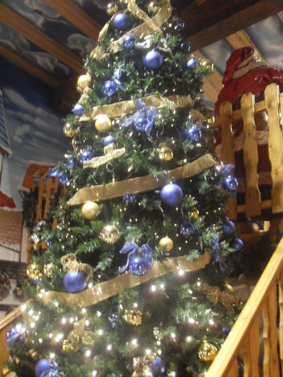 Weihnachtsbaum im Sommer 