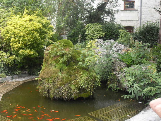 Die Innenhöfe sind verziert durch Teiche mit Goldfischen, wie ich heute gelernt habe. 