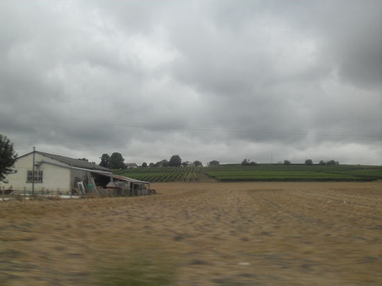 Teilweise durchfuhren wir ziemliche Einöde!