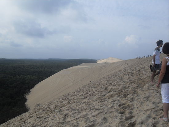 Die Düne erstreckt sich über ein ziemlich großes Areal