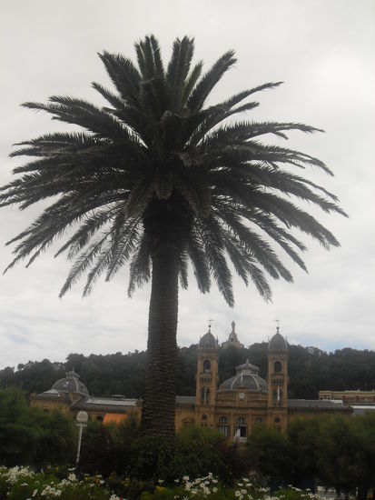 Palme, Hôtel de Ville und Statue - alles drauf 