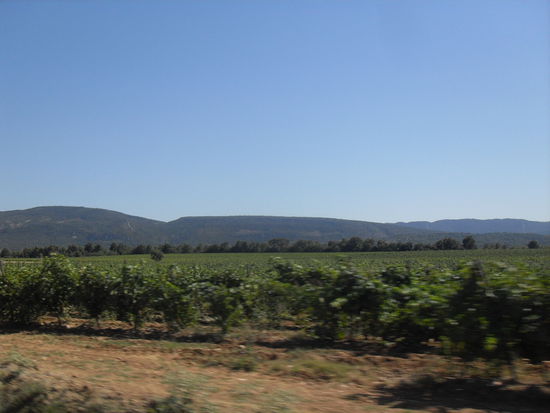 Im Hintergrund ist schon das Pyrenäenvorland zu sehen.