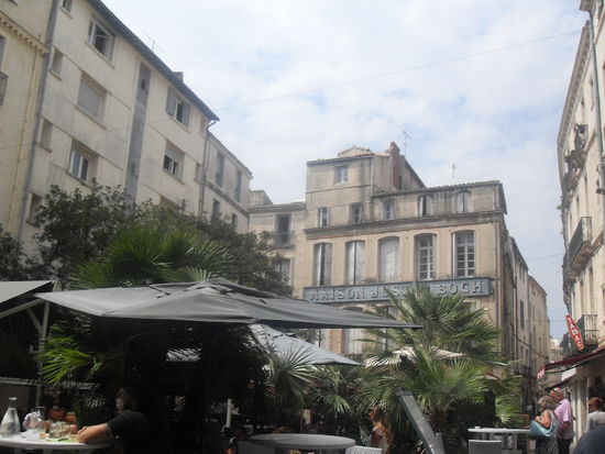 ... auf der Rue de la Loge, wo sich neben vielen Cafés und schönen Häusern auch Unmengen von Palmen befanden. 