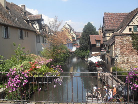 Interessant sind auch die vielen Blumen, die man überall im Elsass sieht