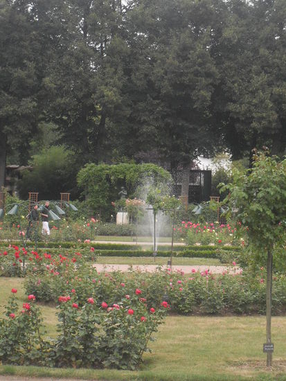 Noch ein kleiner Brunnen im Rosengarten