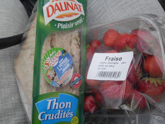 Unser Mittagessen - die Erdbeeren übrigens aus Deutschland, mussten wir auch noch Importsteuer zahlen 