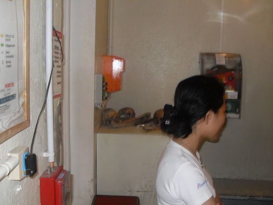 Im Hintergrund auf dem Tisch sieht man das erwischte "Diebesgut"