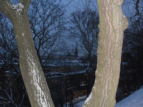 Vom Park aus hatten wir, nachdem wir ewig lange hochkraxelten, nochmals einen schönen Blick über die langsam in Dunkelheit fallende Stadt, woraufhin ...