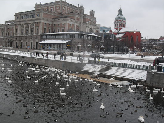 Hier ein paar Freaks, die meines Wissens nach nur ein paar Enten füttern wollten ...
