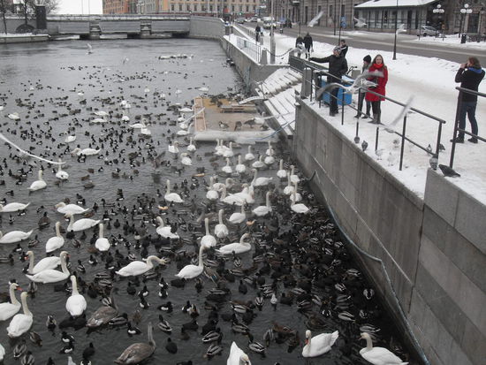 ... im Endeffekt bekamen sie ordentlich zu tun. 