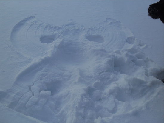 Man beachte die Bommel von Doros Abdruck im Schnee!