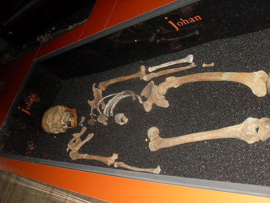 So gab es beispielsweise auch geborgene Skelette, von denen einige so gut erhalten waren ...