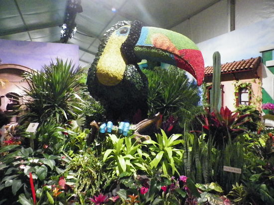 Blumenparadies vor dem Macys