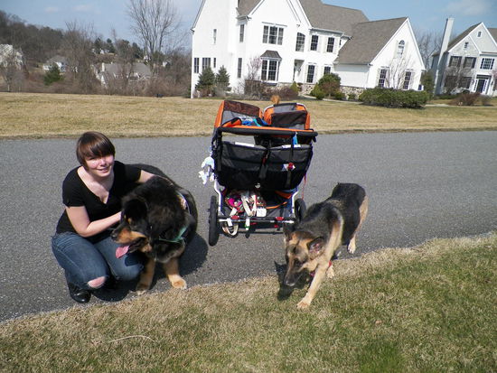 Die Hunde sind so süß, die nehmen wir mit 