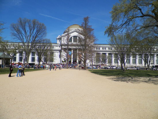 Dutzende Schulklassen belagerten die vielen Museen und Galerien D.C.´s