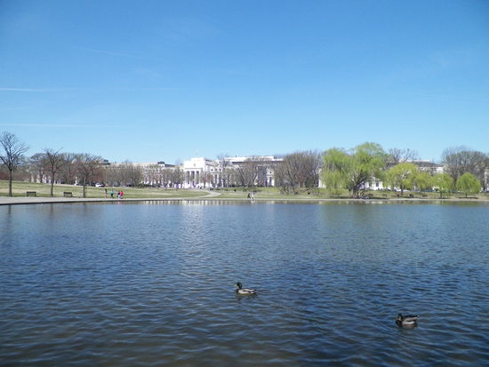 Mitten in D.C.´s Zentrum dann immer wieder entspannte Orte.