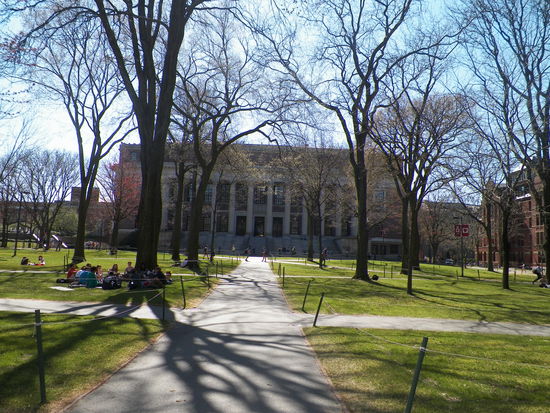 Dies ist die Bibliothek der Harvard University, welche unglaubliche 5 Millionen Bücher enthält. Um dies stets zu erweitern, wird die Bibliothek in den Untergrund ausgebaut und umfasst mittlerweile 8 Stockwerke.