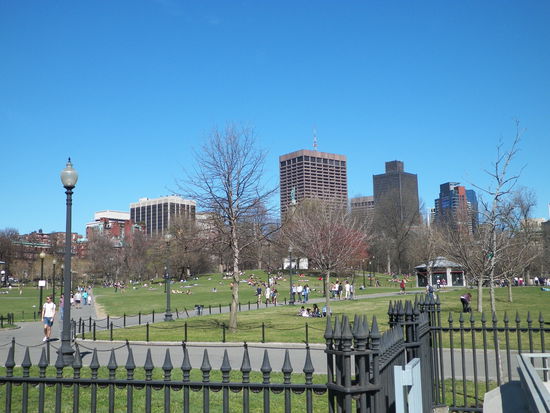 Nur ein kleiner Ausschnitt des Boston Common.