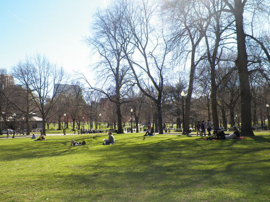 Zurück im Boston Common...