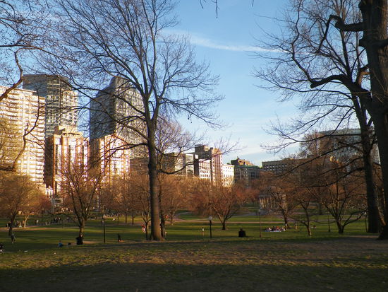 Kleine Version des Central Parks!