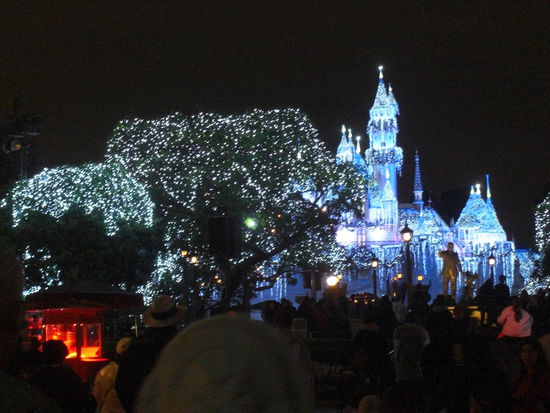 Disneyland bei Nacht