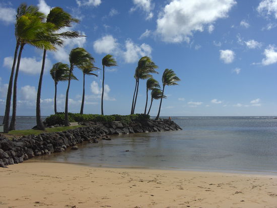 Hotelstrand in Oahu
