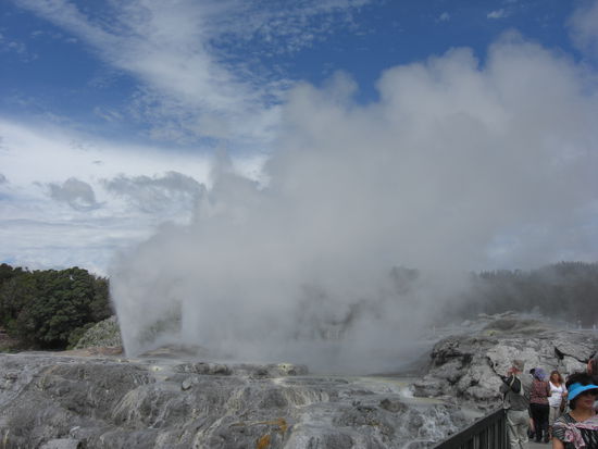 Geysir in Rotorua
