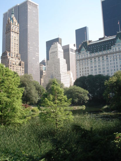 Steph:"Der Stadtpark, ähhhh... Central Park"