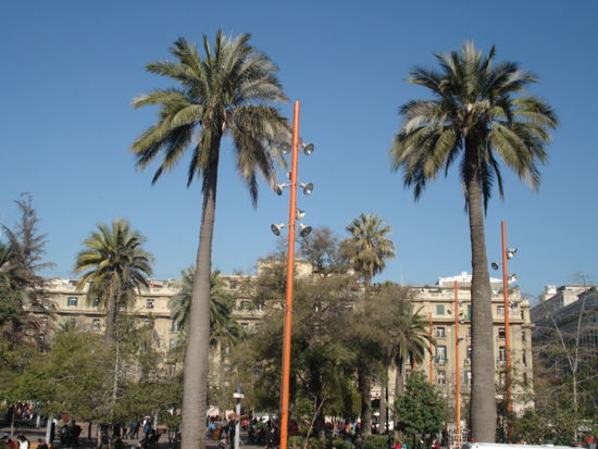 Plaza de Armas!
Zitat Vio: "...sieht aus, als wären wir im Süden!" Genau Vio