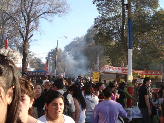 Bicentenario im Parque o' Higgins!
