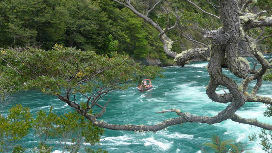 Puerto Varas - ....um dann ganz friedlich in helltürkiser Farbe zu verlaufen. Man merkt ihm nichts mehr von seiner Wildheit an.