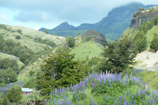 Puerto Montt - Auf dem Weg von Aysen nach Coyhaique. Endlich mal wieder blau/grauer Himmel