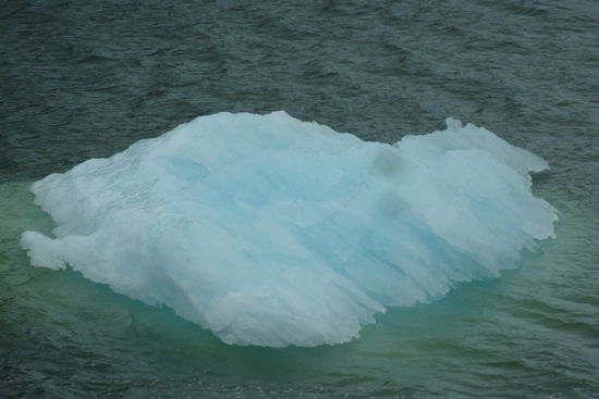 San Rafael Gletscher - Das war er - der erste kleine Eisberg unseres Lebens! Es folgen noch viele.....